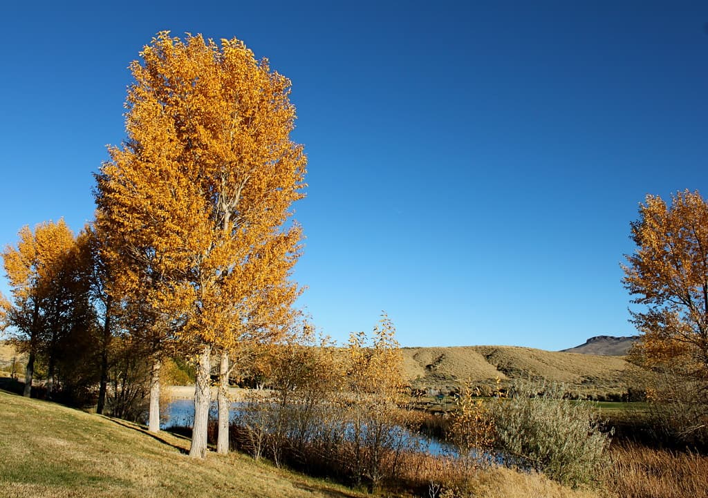 Arrowhead Springs, Wyoming, … | Flickr