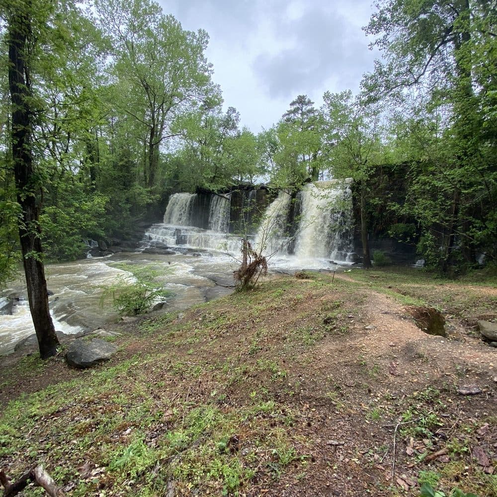 THE BEST 10 PARKS near BRANTLEY, AL ...