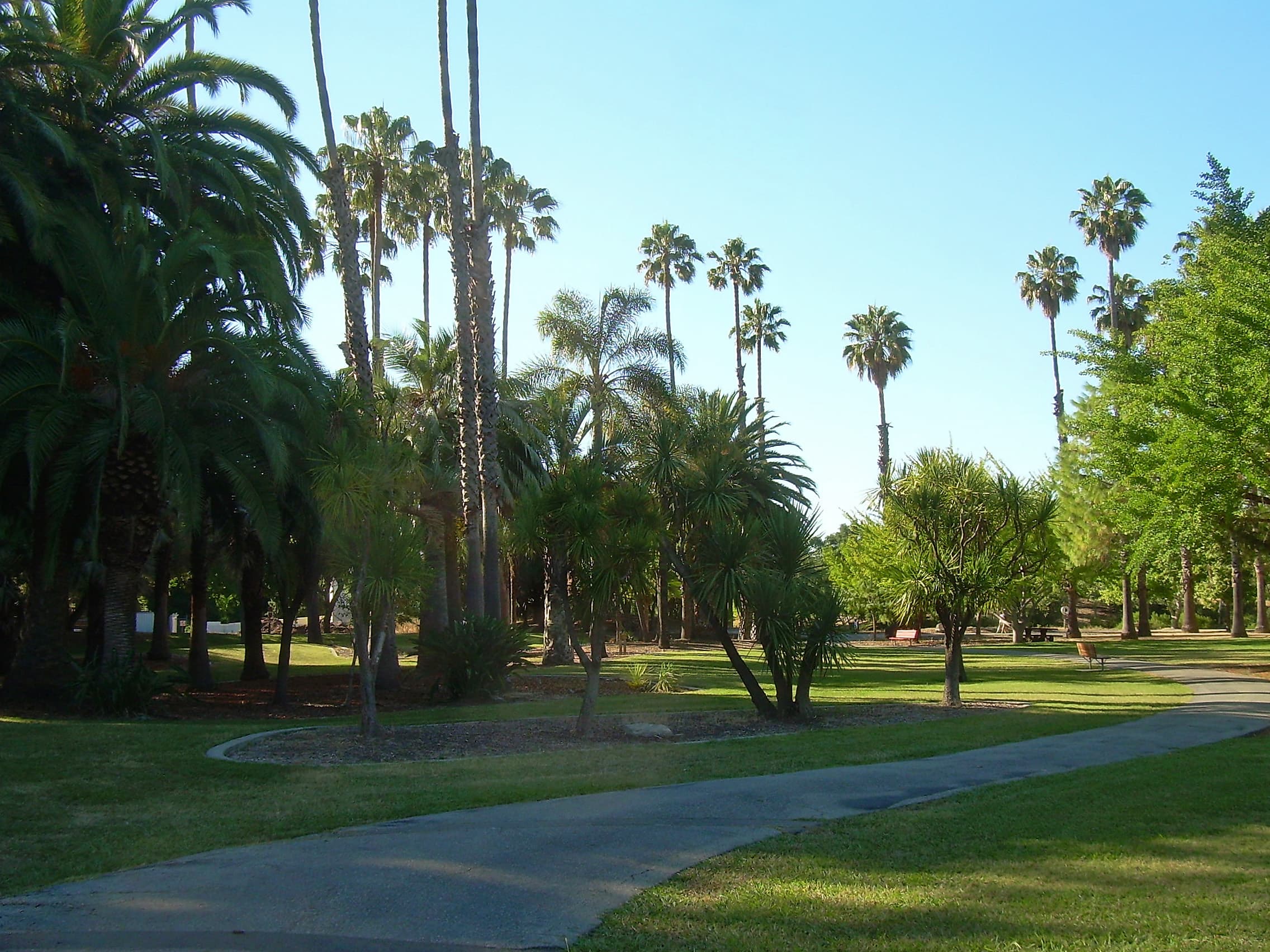 Park With Palms (4797831349).jpg