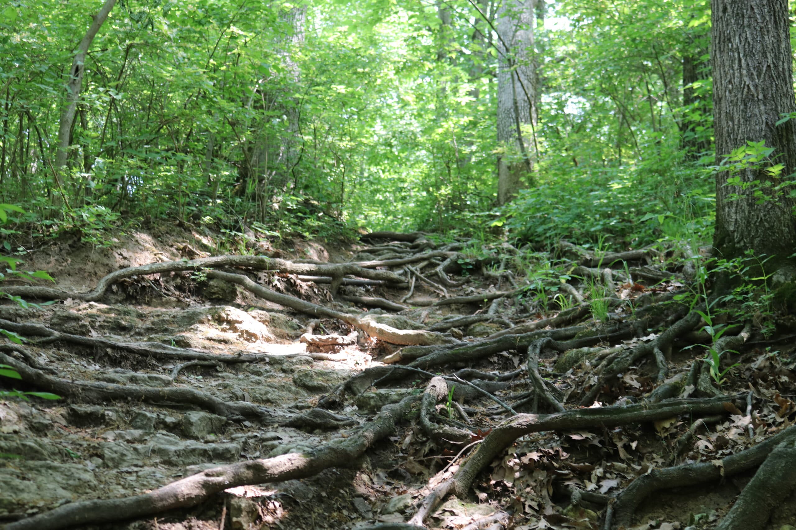 Perry Farm Park - Bourbonnais Township ...