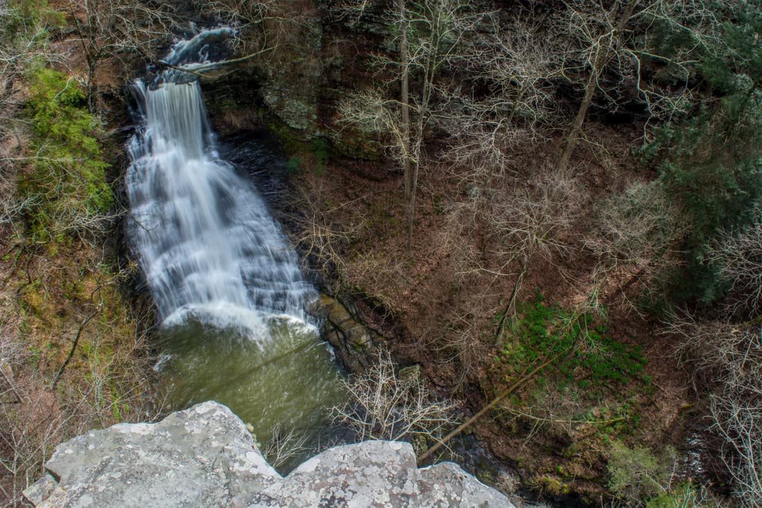 Pisgah Civitan Park: Pisgah Gorge Trail ...